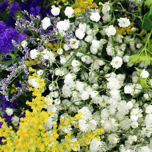 Types of flowers for weddings: Fillers