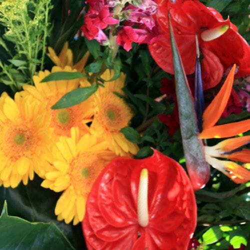 Types of flowers for weddings: Tropicals