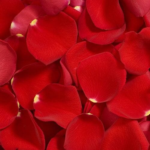 Types of flowers for weddings: Flower Petals