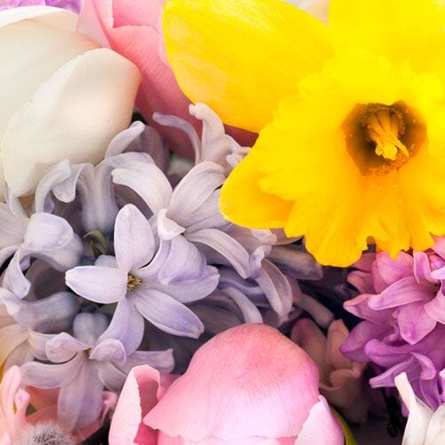 Bulk Spring Flowers at wholesale flower prices