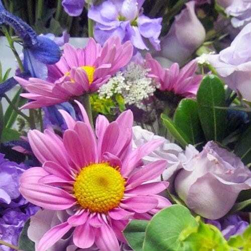 Bulk Wildflower Packs at wholesale flower prices