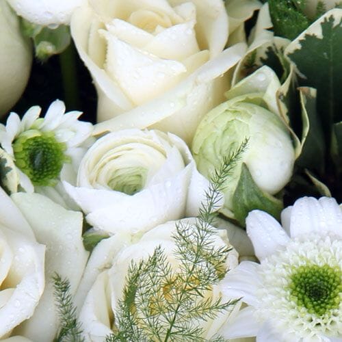 Bulk White Flowers at wholesale flower prices