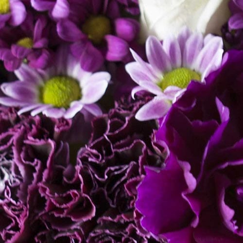 Types of flowers for weddings: Purple Flowers