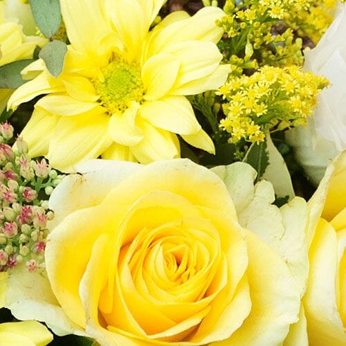 Types of flowers for weddings: Yellow Flowers