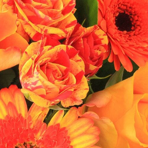 Types of flowers for weddings: Orange Flowers