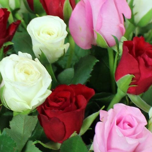 Types of flowers for weddings: Sweetheart Roses