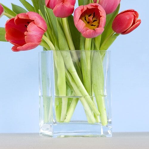 Types of flowers for weddings: Square Glass Vases