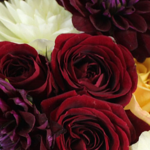 Pantone Marsala Flowers