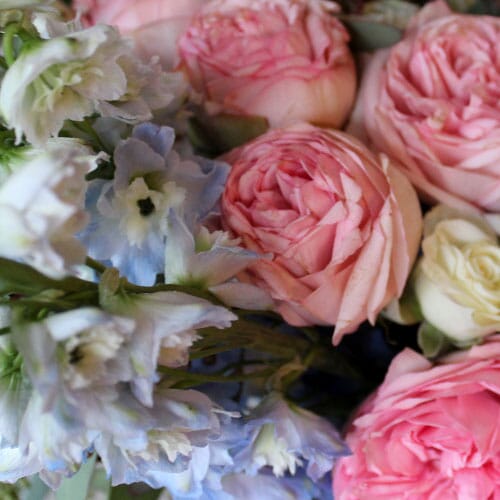 Types of flowers for weddings: Pantone Rose Quartz & Serenity