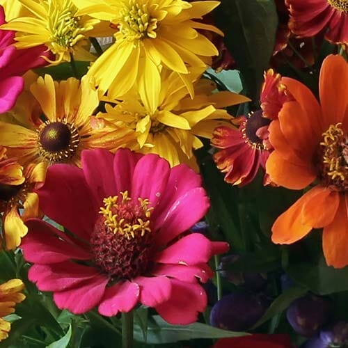 Types of flowers for weddings: Festival Wedding Flowers