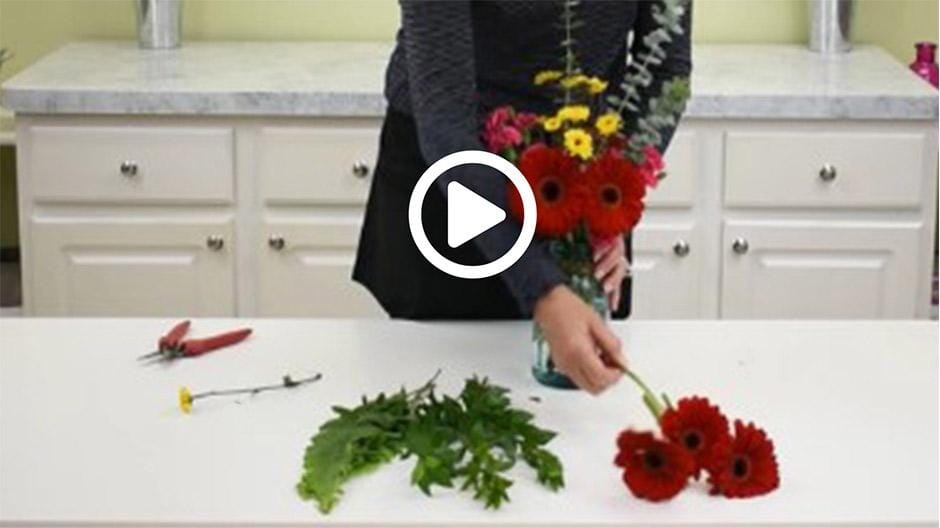 How to Make a Simple Gerbera Daisy Centerpiece  