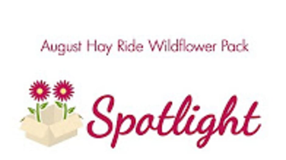 Blooms Spotlight- August Hay Ride Wildflower Pack