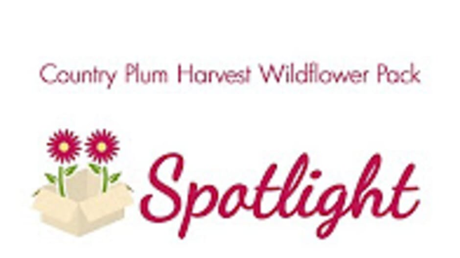 Blooms Spotlight- Country Plum Harvest Wildflower Pack