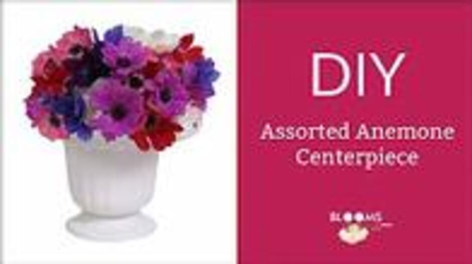 Make a DIY Assorted Anemone Centerpiece