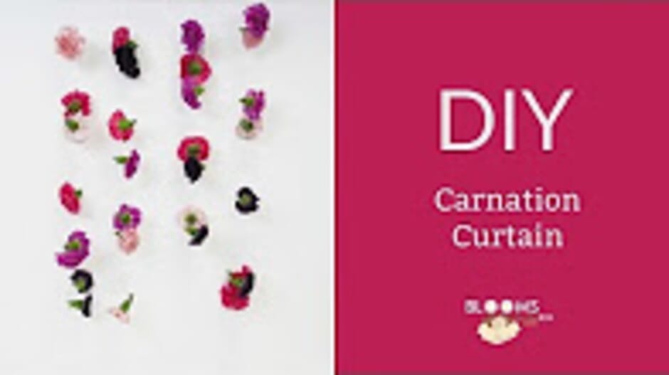 How to Make a  Carnation Curtain