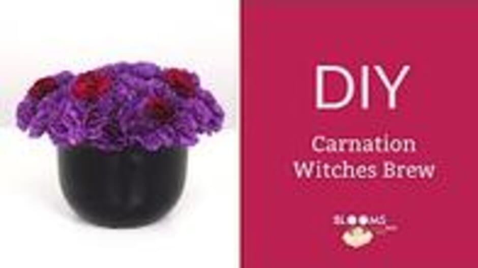 DIY Carnation Witches Brew for Halloween