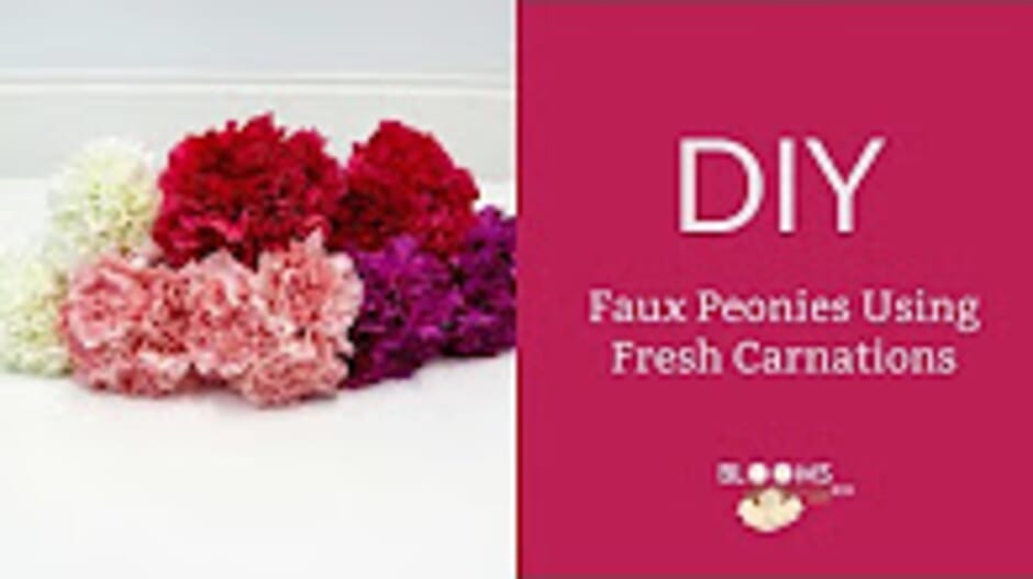 How to Make a Faux Peonies Using Fresh Carnations