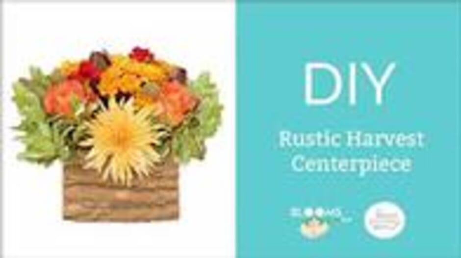 Make a DIY Rustic Harvest Centerpiece