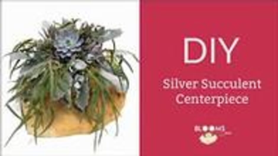 How to Make a  Silver Succulent Centerpiece