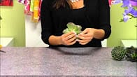 How To Wire Succulent for Arrangements