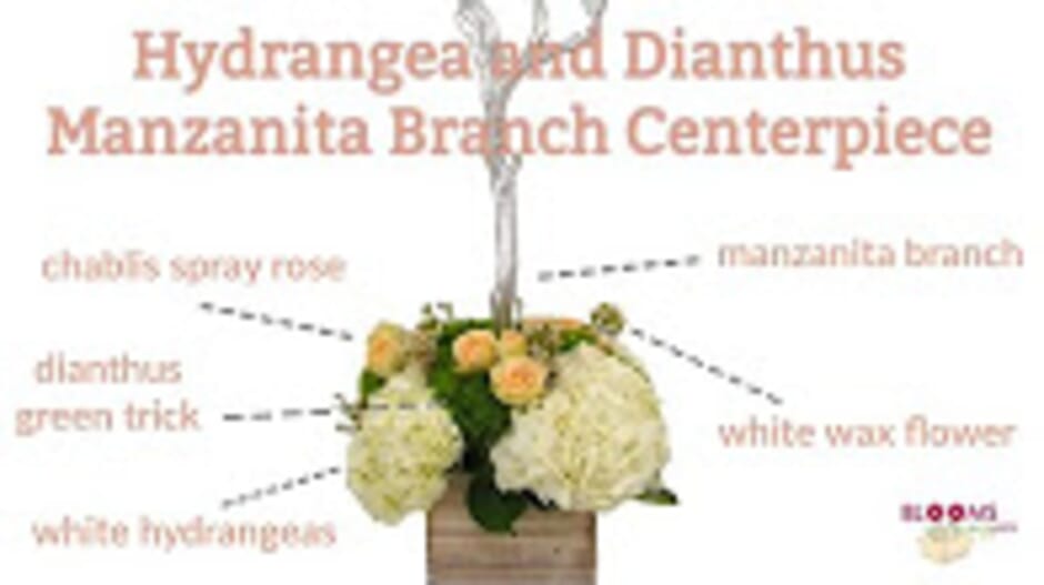 How to Make a Manzanita Branch Centerpiece