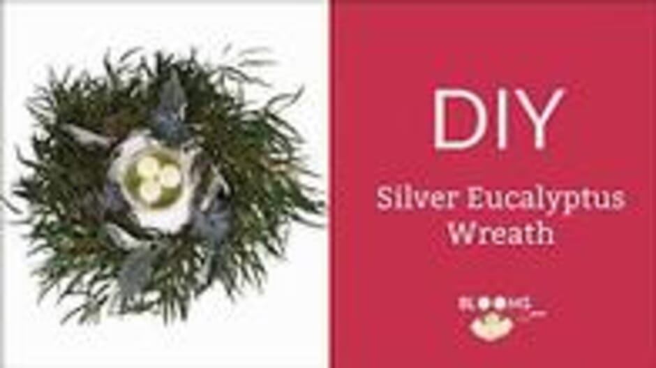 How to Make a Silver Eucalyptus Wreath