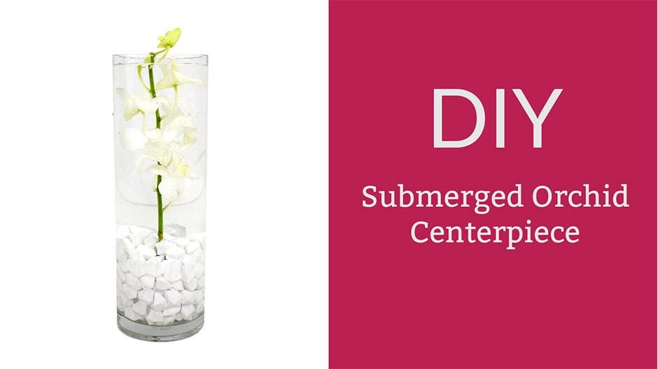 How to Make a Submerged Orchid Centerpiece 
