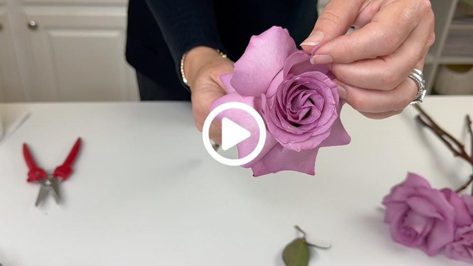 How To Reflex Roses 