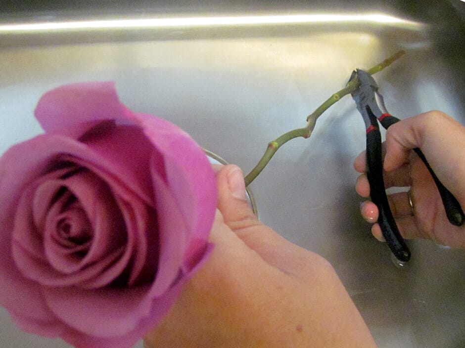 Cutting flower stems under water