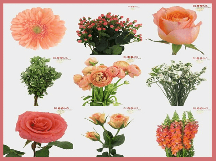 DIY Flower Design Basics