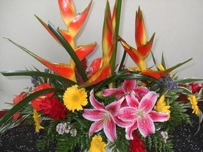 Tropical centro de mesa