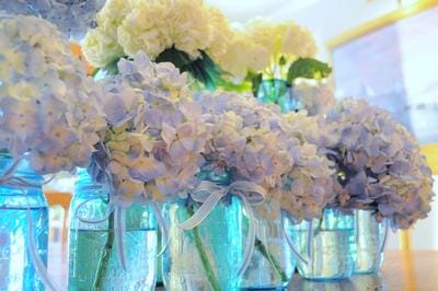 Blue and White Hydrangeas
