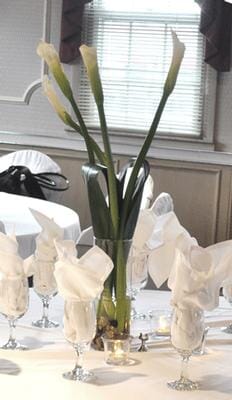 Calla Lilies