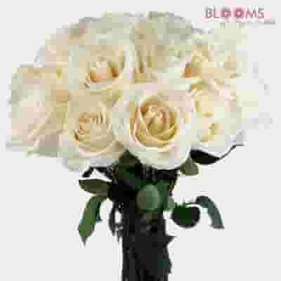 Creamy White Vendela Roses, DIY Wedding Flowers
