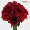 Red Rose Freedom 50 cm.