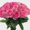 Rose Sweet Unique Soft Pink 40cm