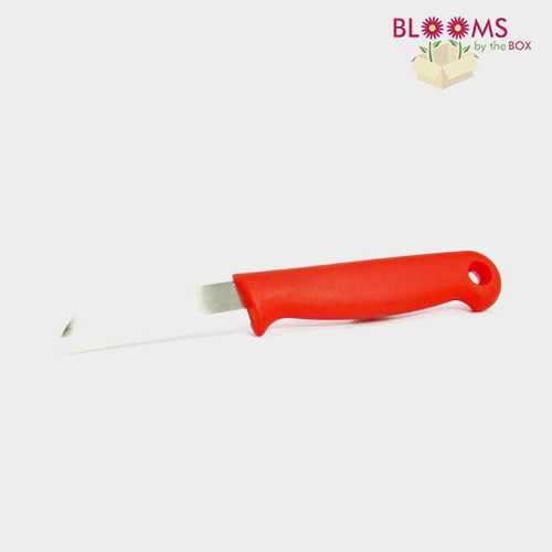 Paring Knife Red - Wholesale - Blooms By The Box
