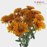 Cushion Pompon Bronze
