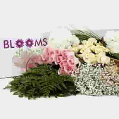 Traditional Rose & Carnation Flower DIY Wedding Pack