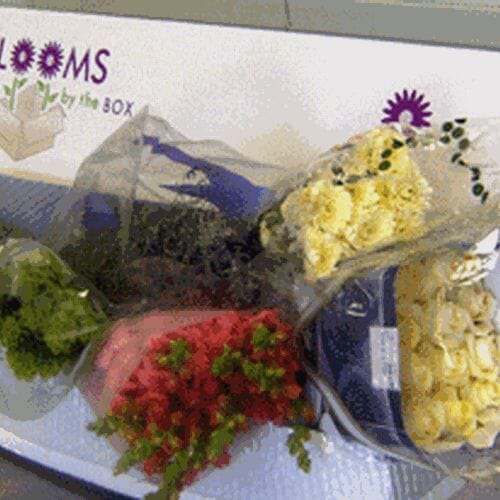Bulk flowers online - Wholesaler's Choice DIY Flower Pack (Medium)