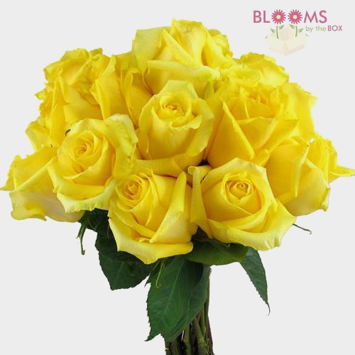 Yellow Rose 40 cm.