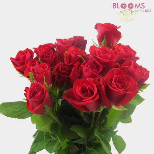 Bulk flowers online - Sweetheart Roses Red