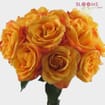 Orange Rose 50 cm.