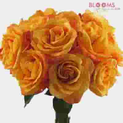 Orange Rose 60 cm.