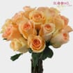 Peach Rose 40 cm.
