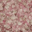 Petite Pink FD Rose Petals (30 Cups)