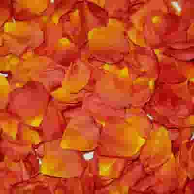 Yellow / Orange &  Red  FD Rose Petals (30 Cups)