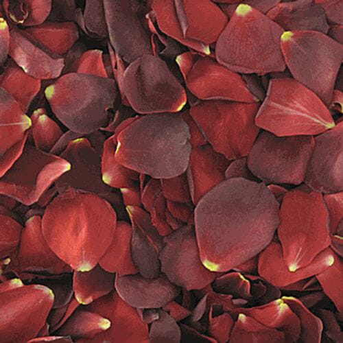 Red / Brown FD Rose Petals (30 Cups)