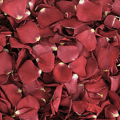 Deep Pink & Red FD Rose Petals (30 Cups)