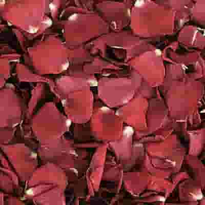 Deep Pink & Red FD Rose Petals (30 Cups)